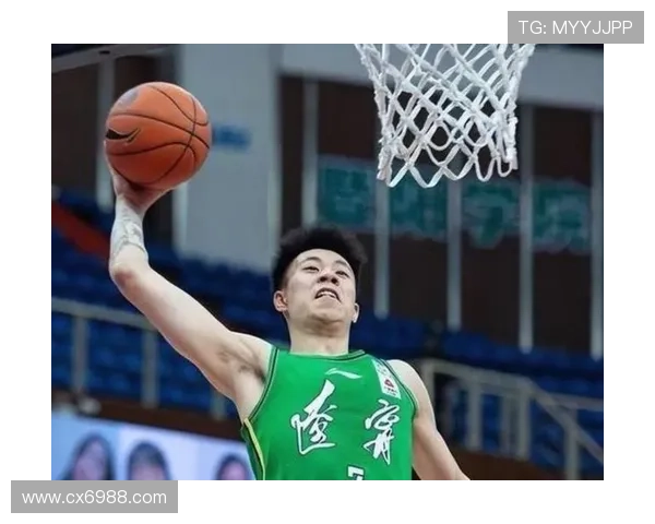 [CBA]张镇麟赛季首秀 辽宁送天津两连败.